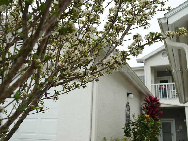 11680 Shipwatch Dr. #1457, Largo, FL 33774