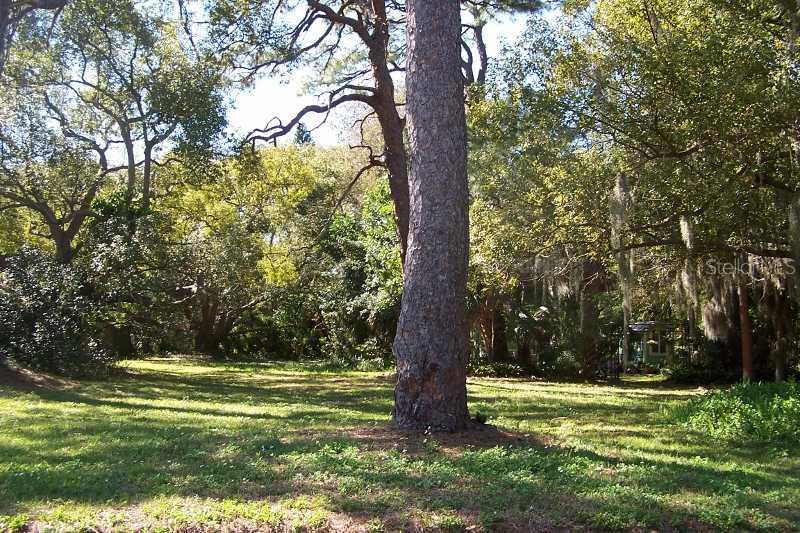 2931 49th St., Gulfport, FL 33707