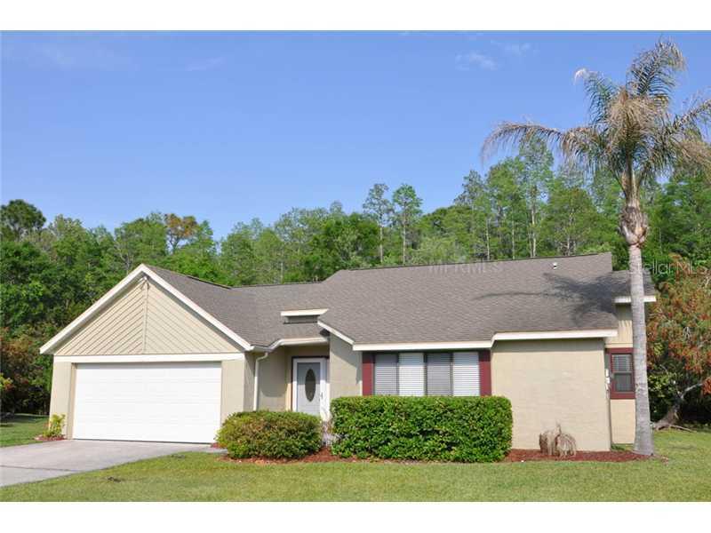 638 Satinleaf Ave., Oldsmar, FL 34677