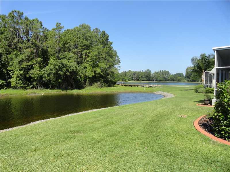 1601 Westerham Loop, Trinity, FL 34655