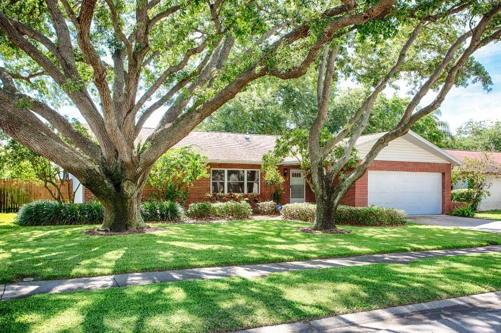 7728 17th Way, St Petersburg, FL 33702