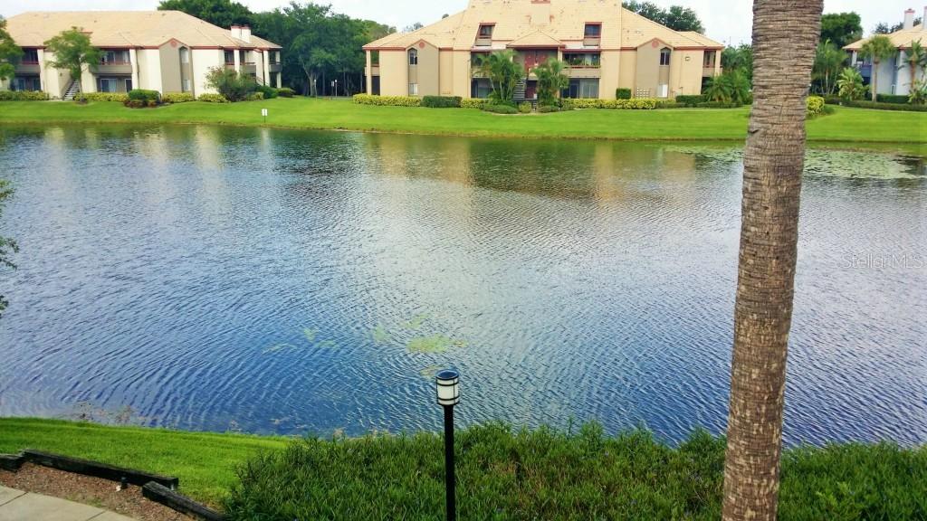 10263 Gandy Blvd. #2412, St. Petersburg, FL 33702