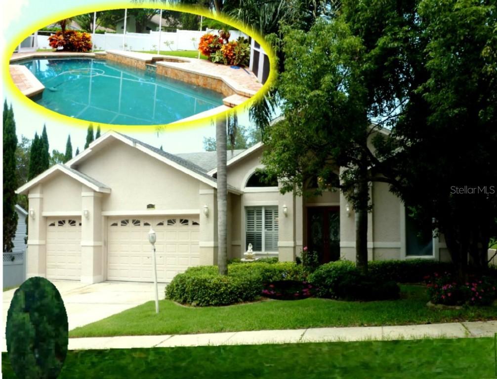 652 Sedgewick Way, Palm Harbor, FL 34683