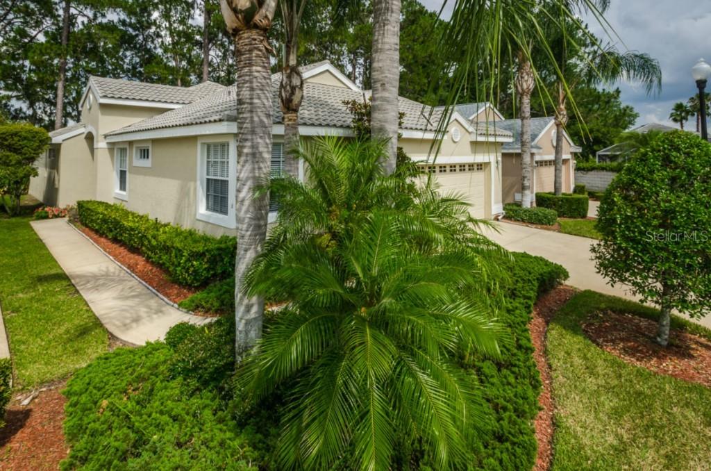 1118 Hominy Hill Dr., Trinity, FL 34655