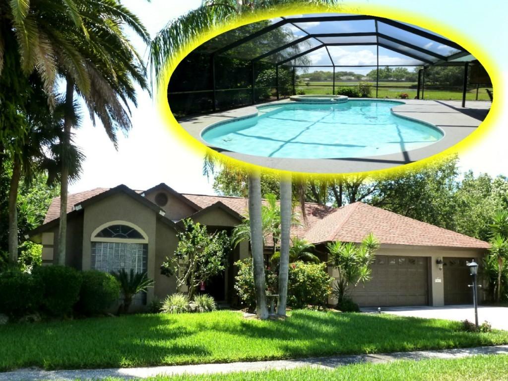 602 Severs Landing, Palm Harbor, FL 34683