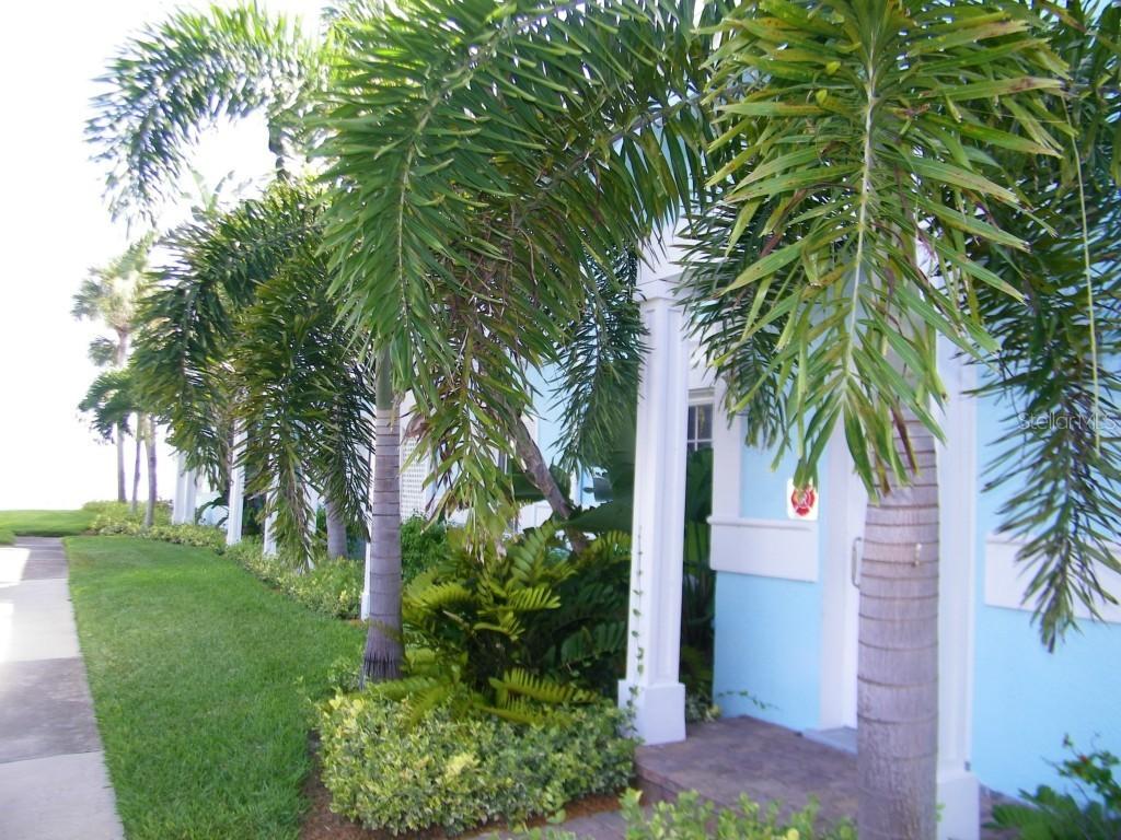 5271 Beach Dr. #D, St. Petersburg, FL 33705