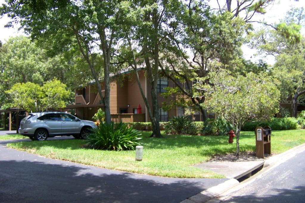 [Address Hidden by Seller], Palm Harbor, FL 34684