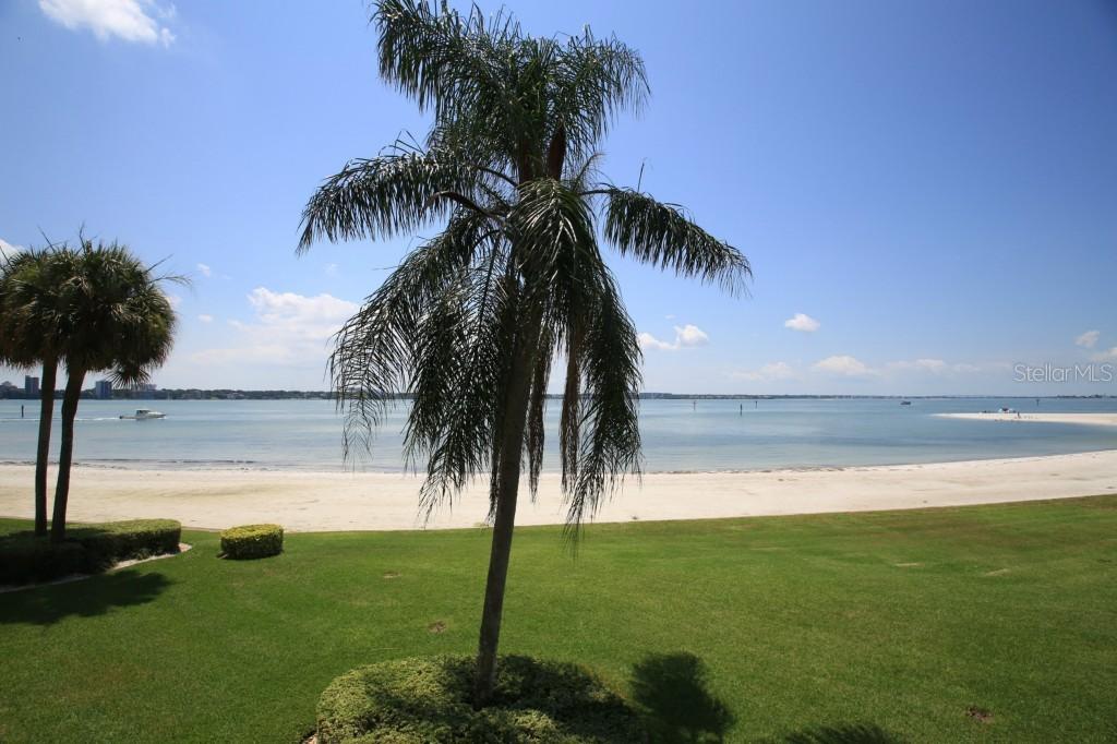 865 S Gulfview Blvd. #203, Clearwater Beach, FL 33767