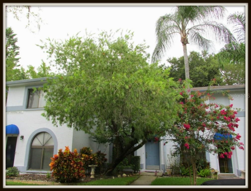3607 Whispering Oaks Ln. #403, Palm Harbor, FL 34684