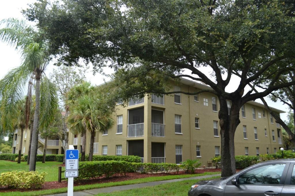 2690 Coral Landings Blvd. #232, Palm Harbor, FL 34684