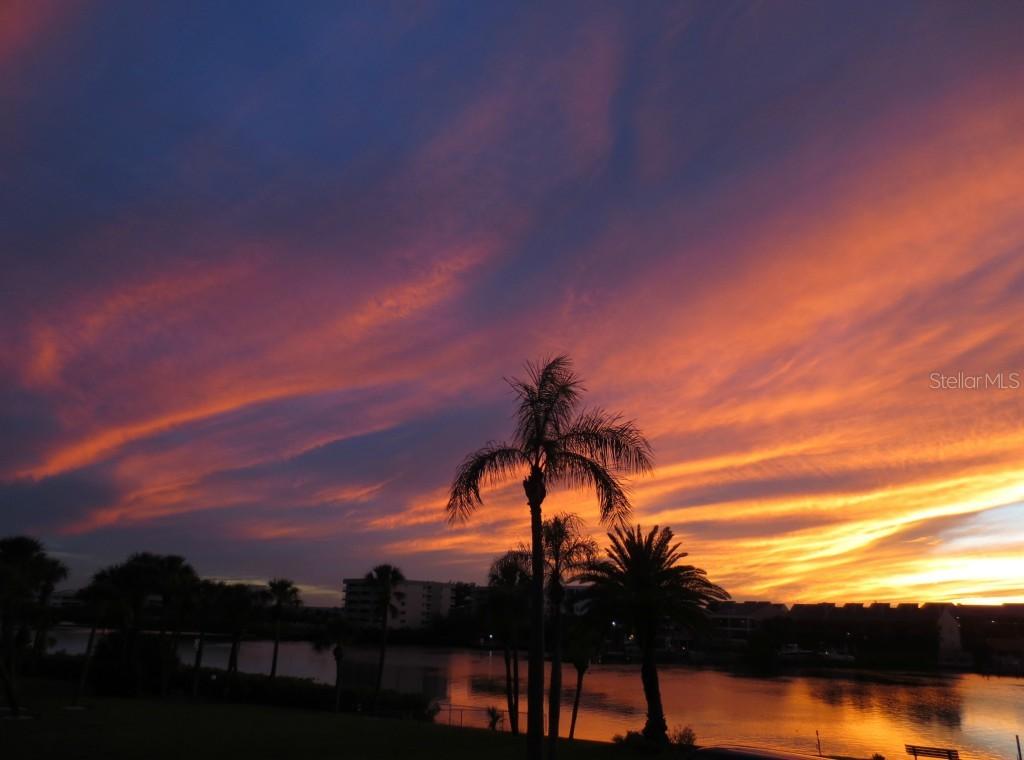 10216 Regal Dr. #505, Largo, FL 33774
