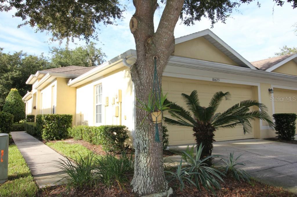 10625 Ashford Oaks Dr., Tampa, FL 33625
