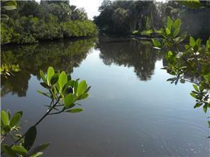 5035 Bay Blvd., Port Richey, FL 34668