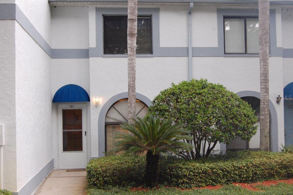 3583 Whispering Oaks Ln. #103, Palm Harbor, FL 34684