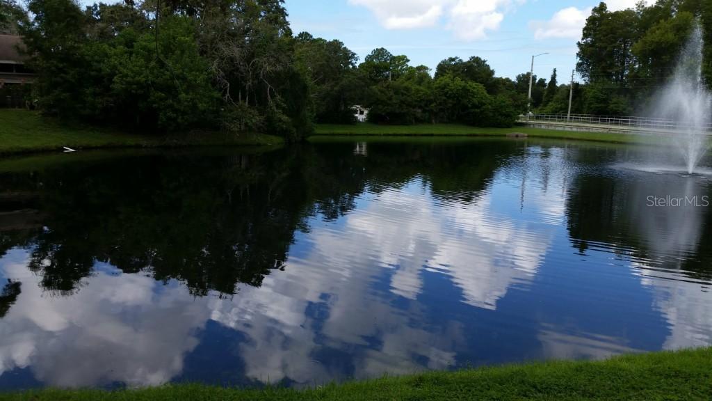 2350 Cypress Pond Rd. #2304, Palm Harbor, FL 34683