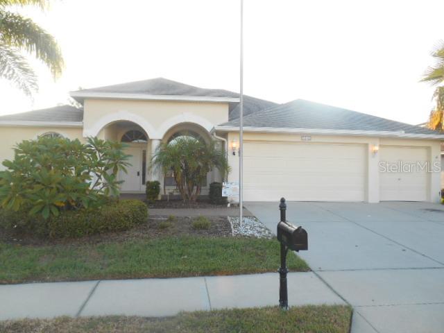 2042 Meadow Rue Ct., Trinity, FL 34655