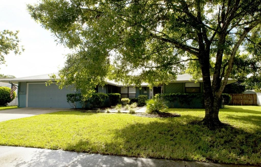 710 Satinleaf Ave., Oldsmar, FL 34677