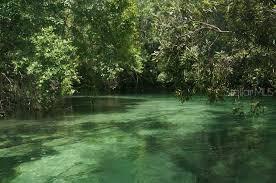 6140 Waters Way, Weeki Wachee, FL 34607