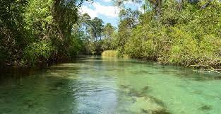 6134 Waters Way, Weeki Wachee, FL 34607