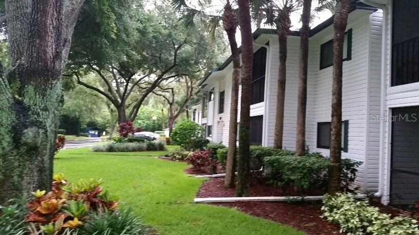 3277 Fox Chase Cir. #111, Palm Harbor, FL 34683