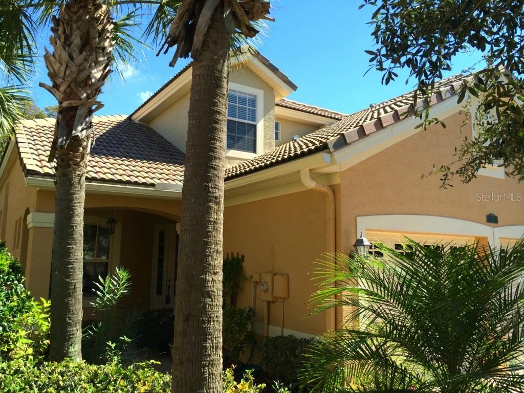 7411 Roebellini Ave., Trinity, FL 34655