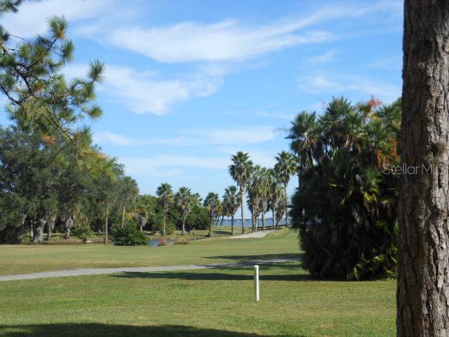 3400 Cove Cay Dr. #1E, Clearwater, FL 33760