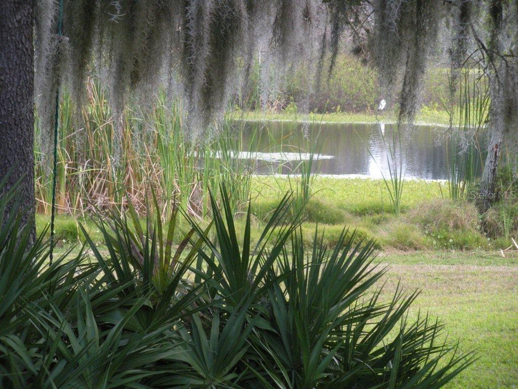 107 Lakeside Colony Dr., Tarpon Springs, FL 34689