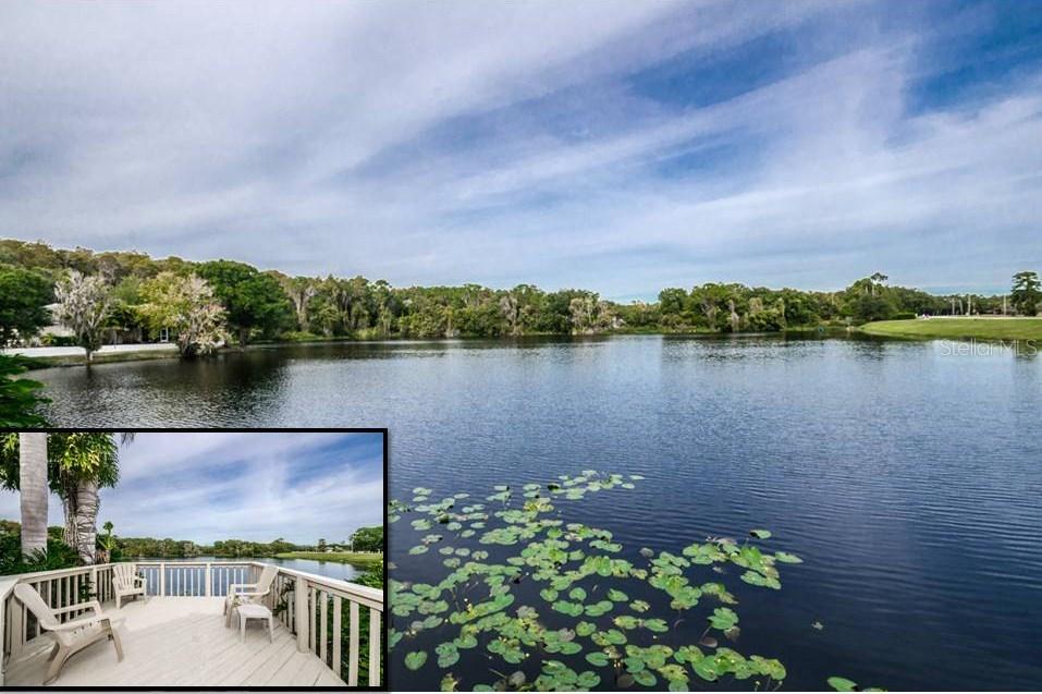 4237 Waterscape Dr., Palm Harbor, FL 34685