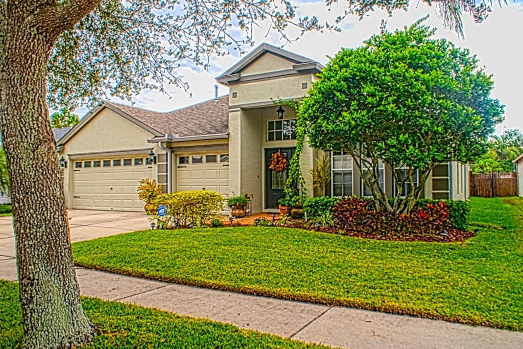 3226 Stoneman Loop, Land O Lakes, FL 34638