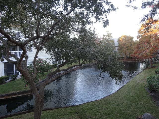 6818 Stonesthrow Cir. #12202, St Petersburg, FL 33710