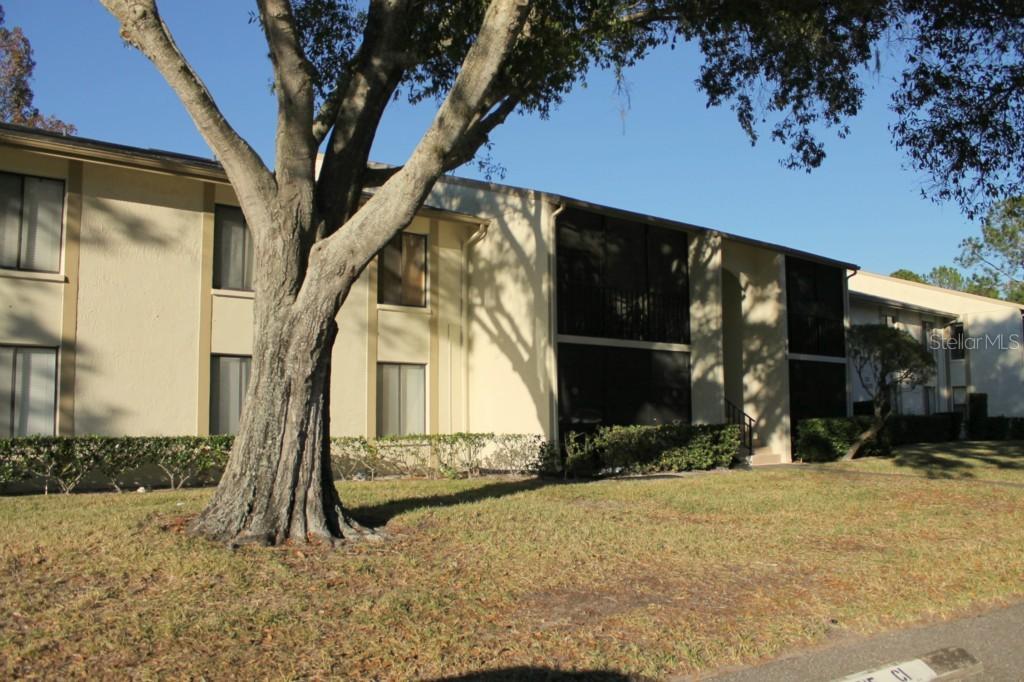 3211 Lake Pine Way #C2, Tarpon Springs, FL 34688