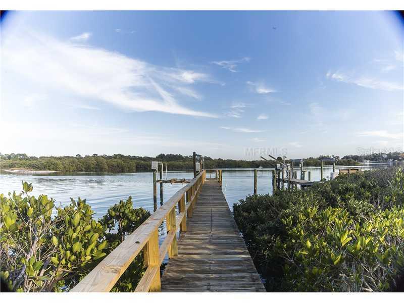 2009 N Pointe Alexis Dr., Tarpon Springs, FL 34689