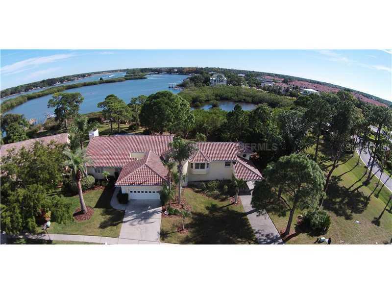 2005 N Pointe Alexis Dr., Tarpon Springs, FL 34689
