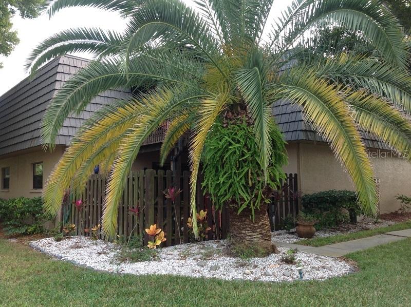 14523 Catalina Cir., Seminole, FL 33776