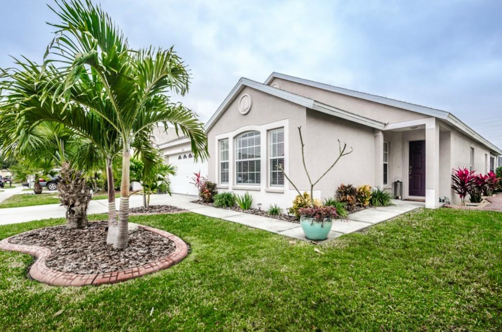 2622 Palesta Dr., Trinity, FL 34655