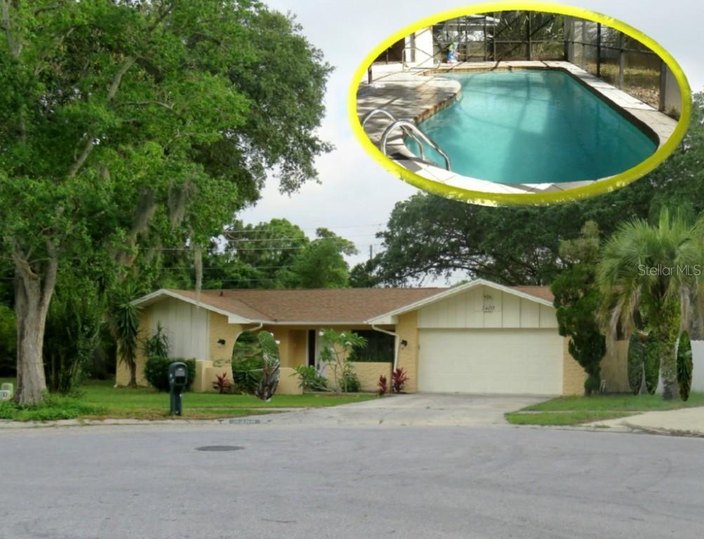 3400 Snowy Egret Ct., Palm Harbor, FL 34683