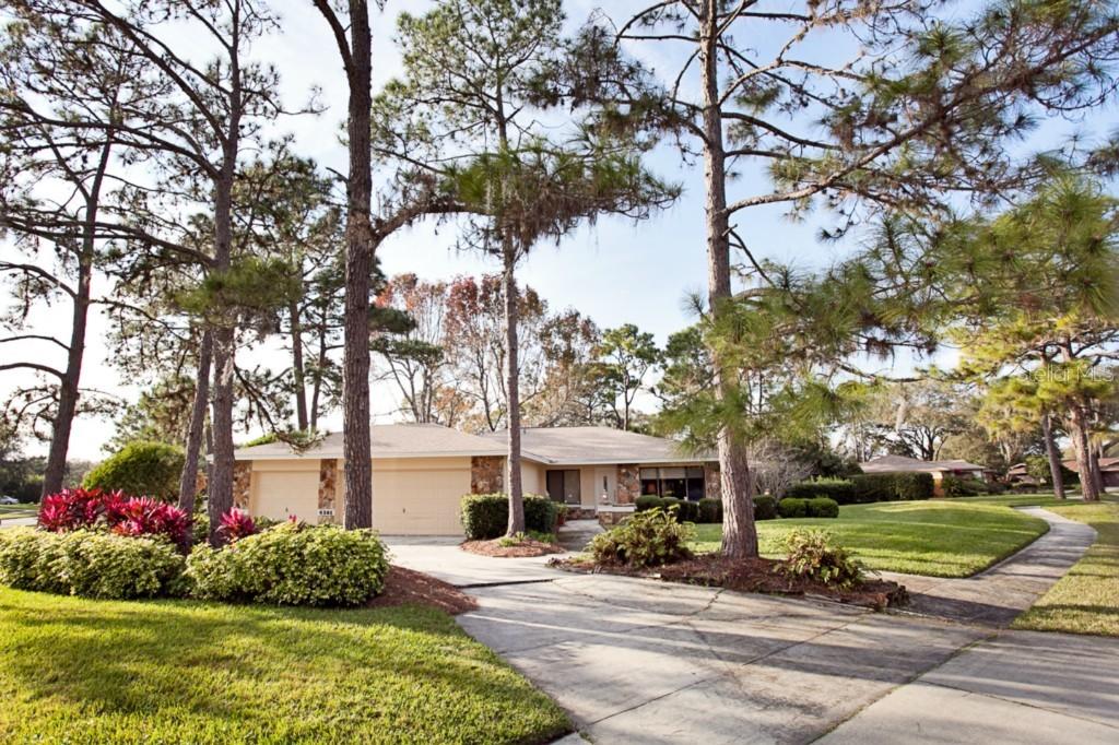 4301 Middle Lake Dr., Tampa, FL 33624