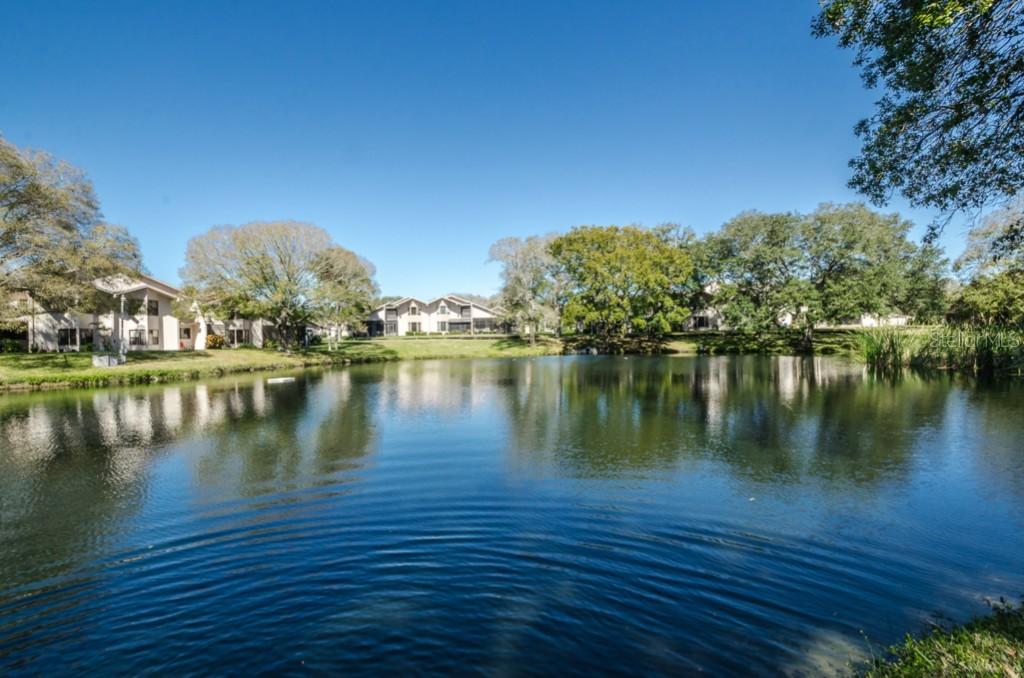 485 Westlake Blvd. #68, Palm Harbor, FL 34683