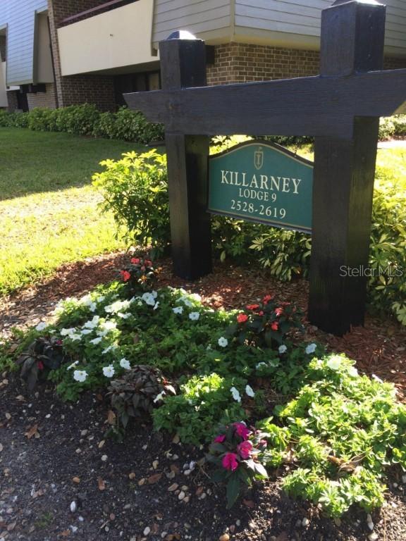 36750 Us Highway 19 #226, Palm Harbor, FL 34684