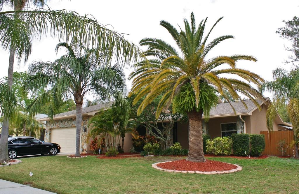 2271 Adam Ct., Palm Harbor, FL 34683