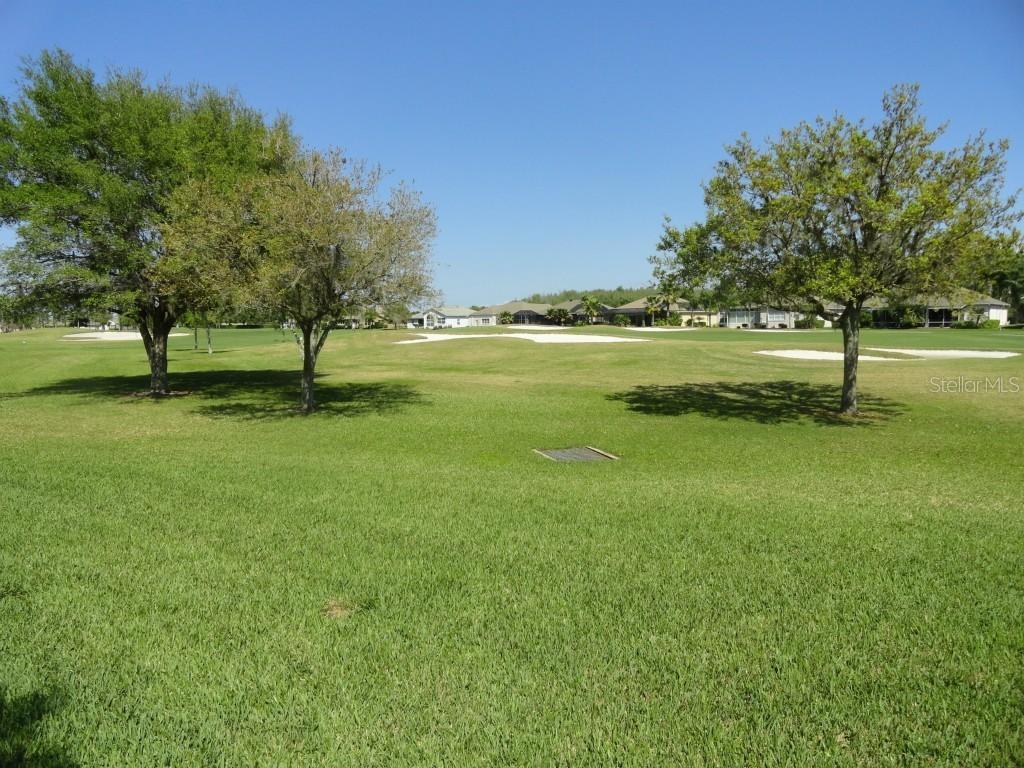 1416 Britwell Ct., Trinity, FL 34655