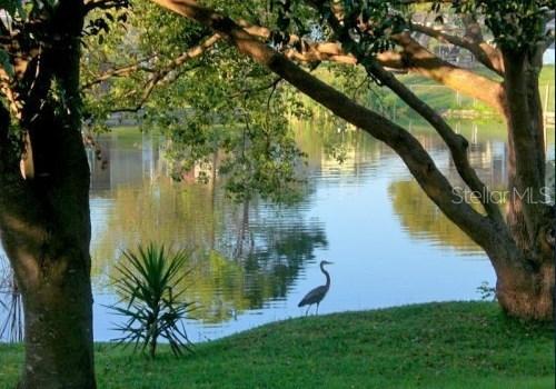 7534 San Moritz Dr., Port Richey, FL 34668