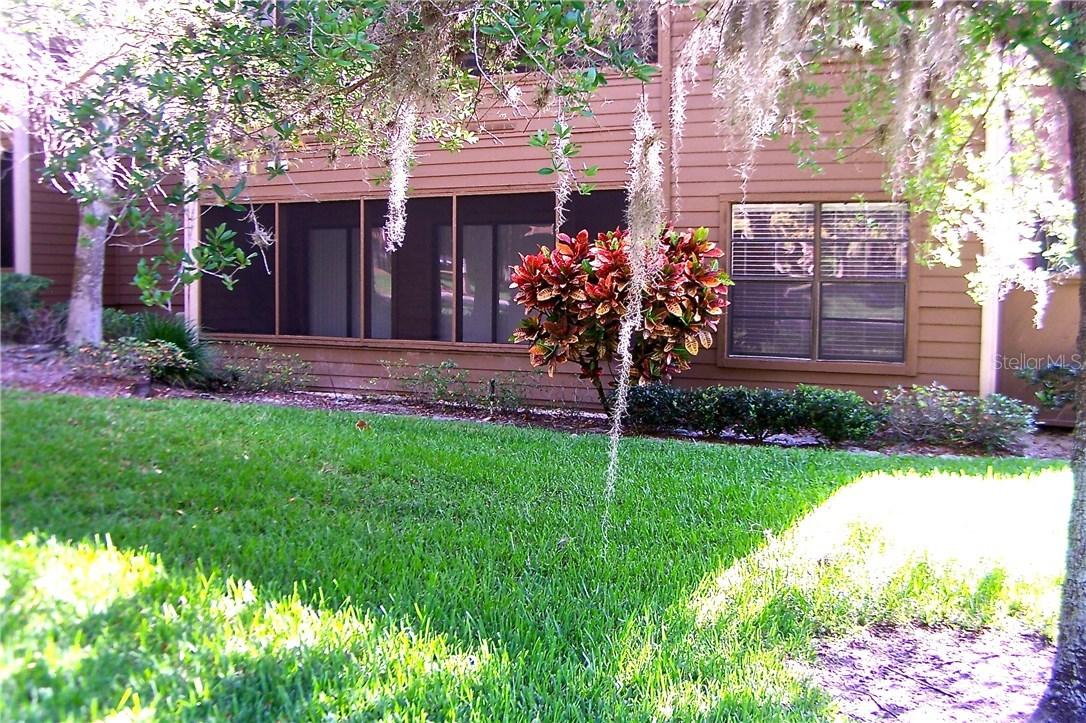 2103 Lennox Rd., Palm Harbor, FL 34683