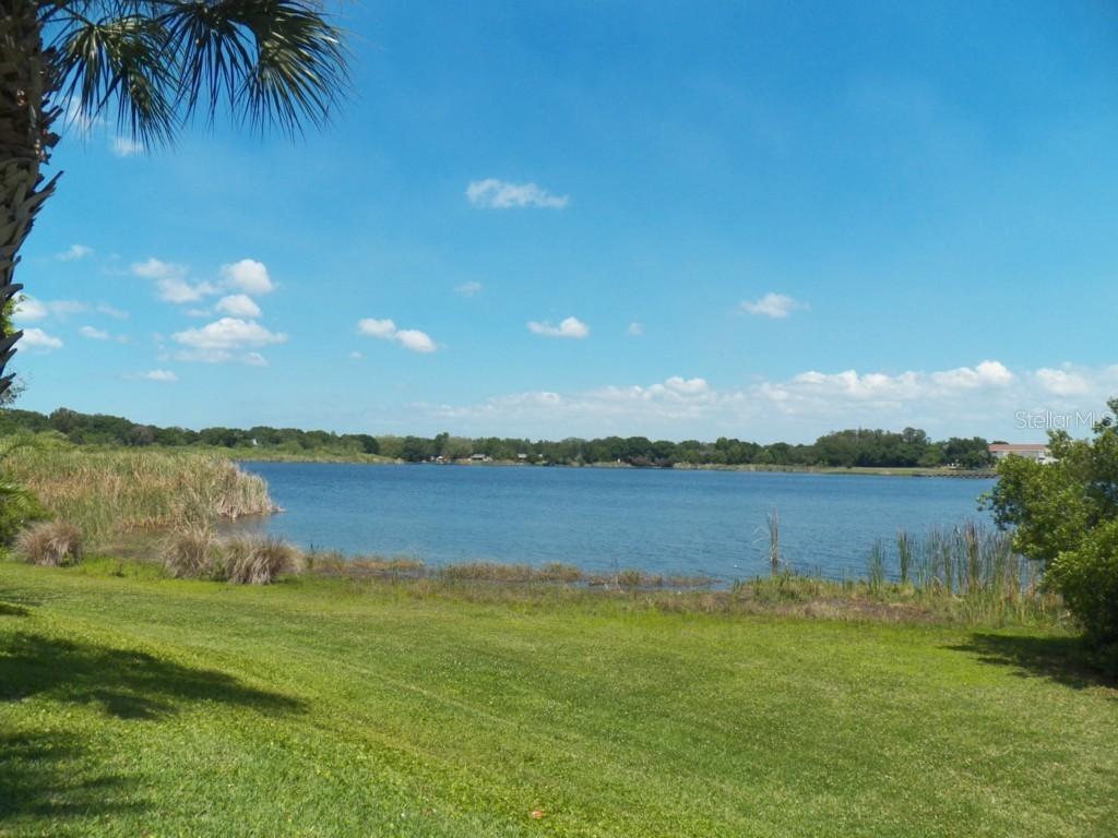 2021 Shangrila Dr. #50, Clearwater, FL 33763