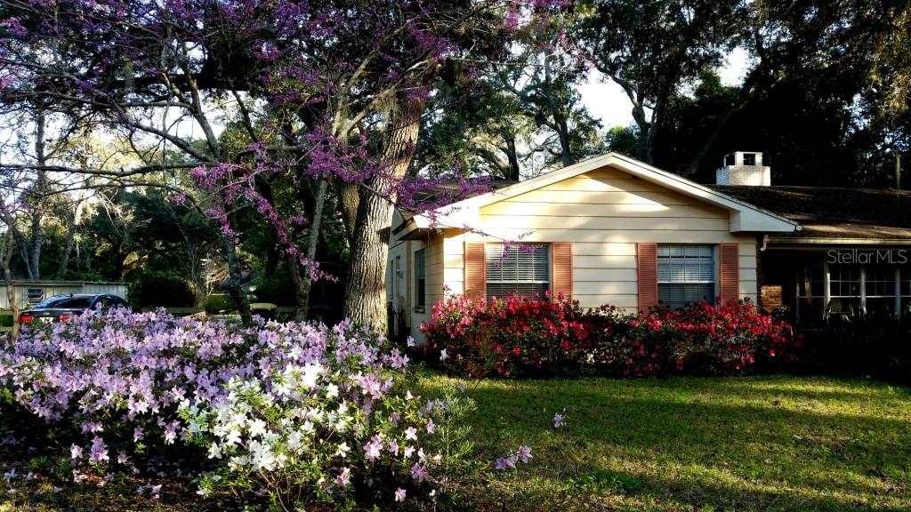 1885 County Road 193 Rd., Clearwater, FL 33759