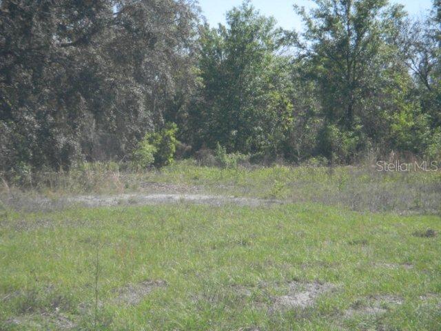 Murcott, Land O Lakes, FL 34639