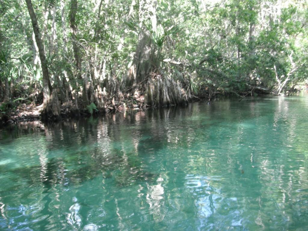 7261 Loblolly Ct., Weeki Wachee, FL 34607