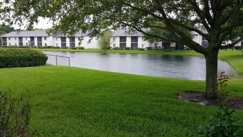 11201 122nd Ave. #171, Largo, FL 33778