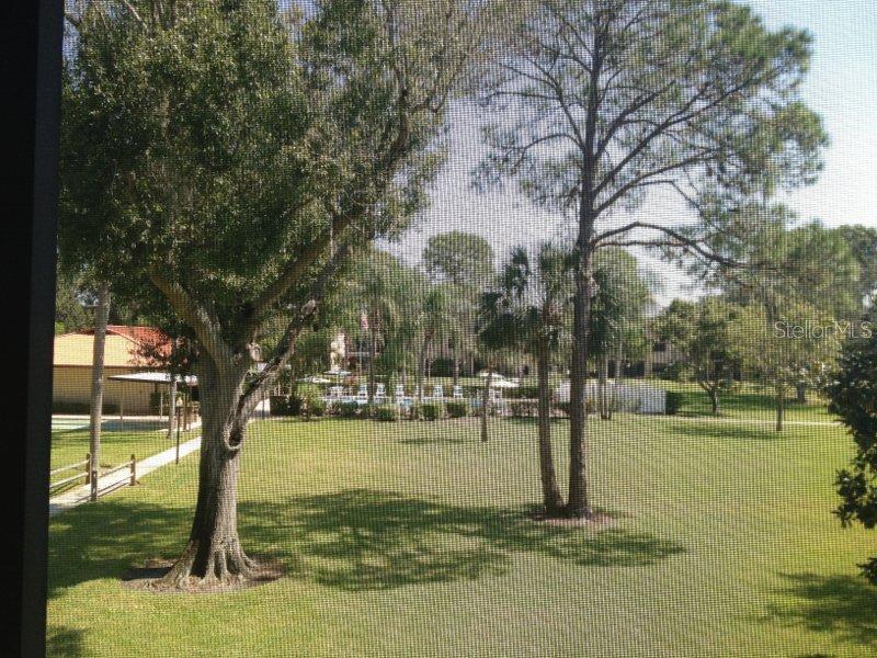 5085 1st St. #130, St Petersburg, FL 33703