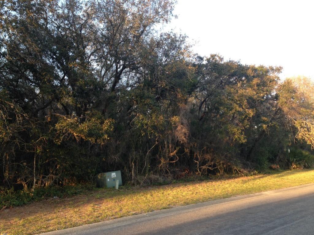 11989 Conway St., Spring Hill, FL 34609